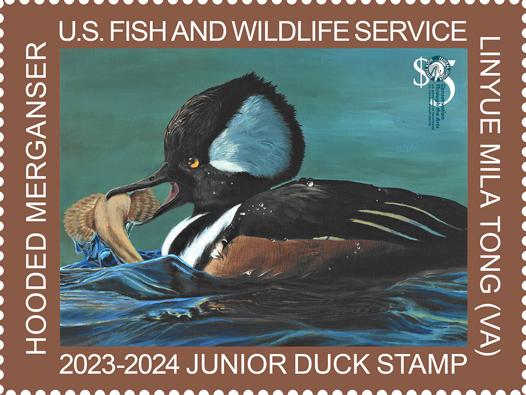 Ducks Unlimited, Bass Pro Shops, USFWS Celebrate Duck Stamp First Day